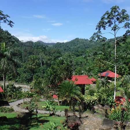 Pacuare River Lodge Bajo Tigre Bagian luar foto