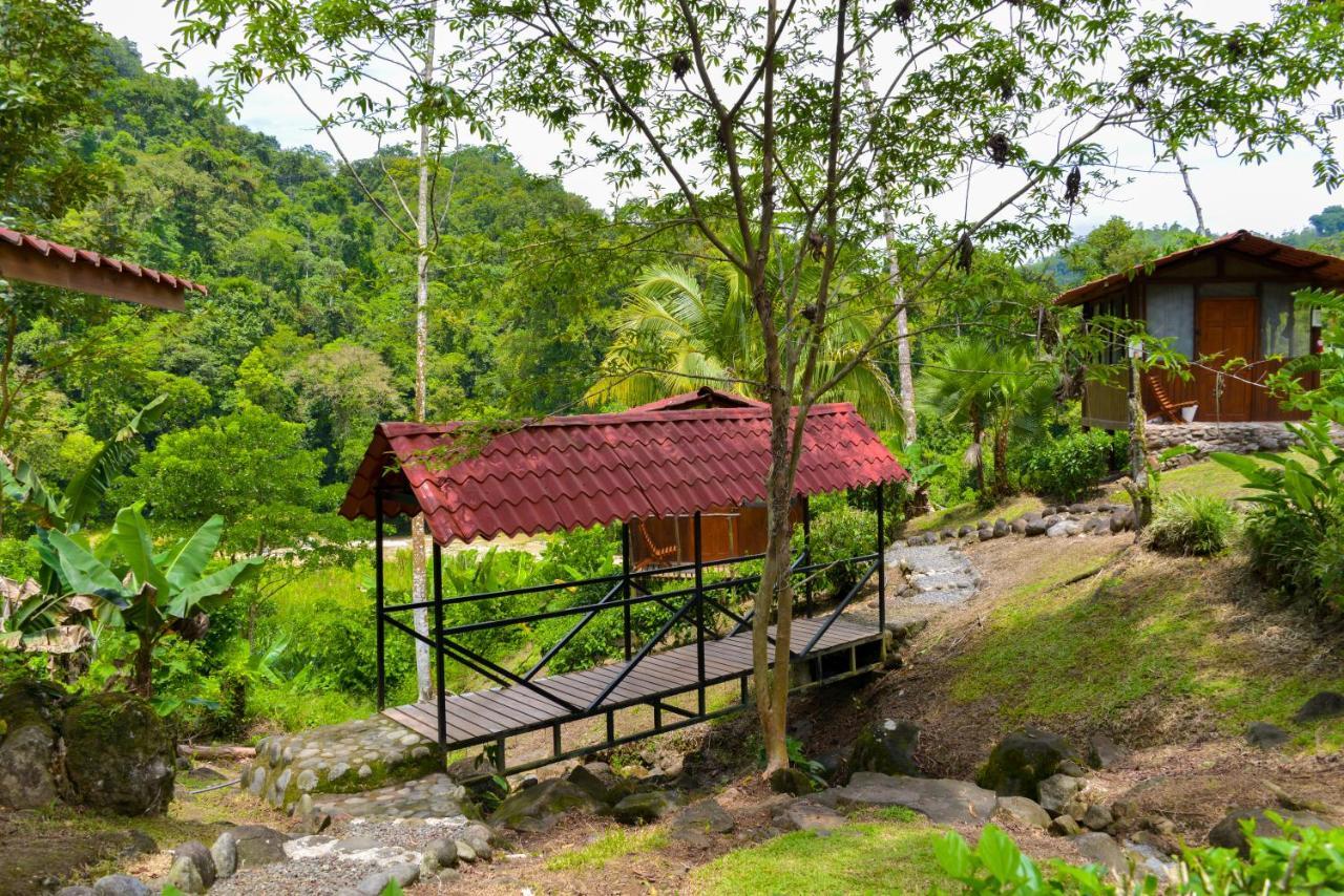 Pacuare River Lodge Bajo Tigre Bagian luar foto