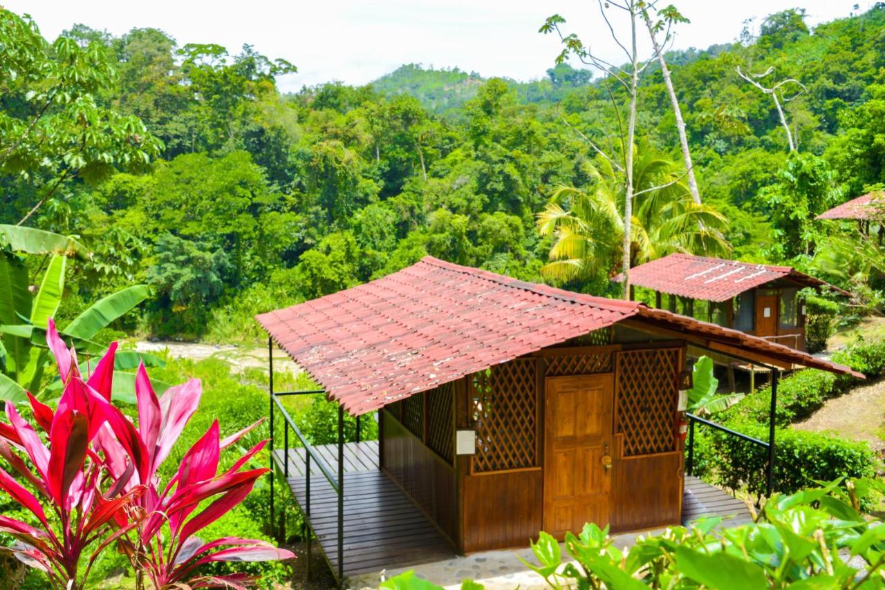 Pacuare River Lodge Bajo Tigre Bagian luar foto