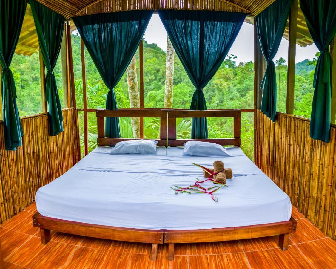 Pacuare River Lodge Bajo Tigre Bagian luar foto