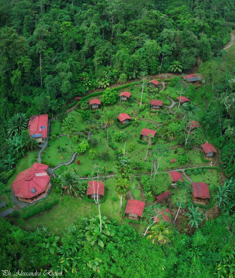 Pacuare River Lodge Bajo Tigre Bagian luar foto