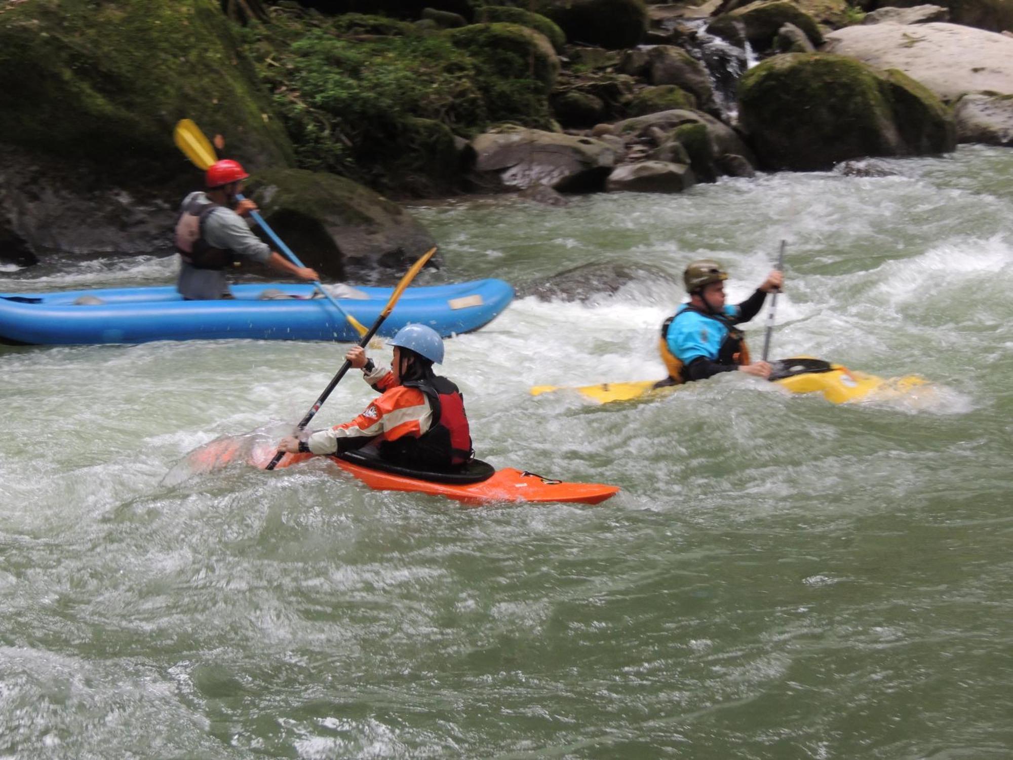 Pacuare River Lodge Bajo Tigre Bagian luar foto