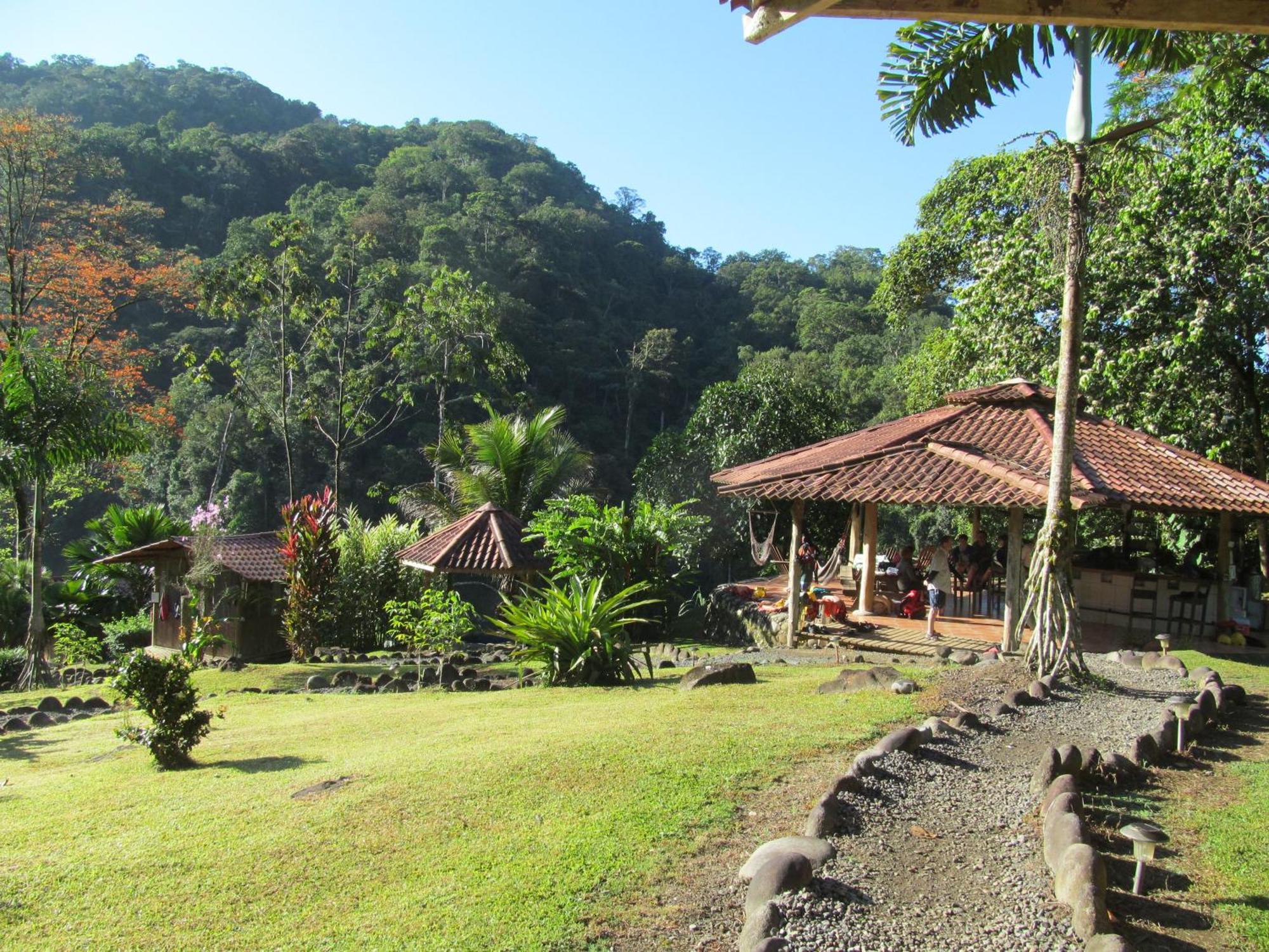Pacuare River Lodge Bajo Tigre Bagian luar foto