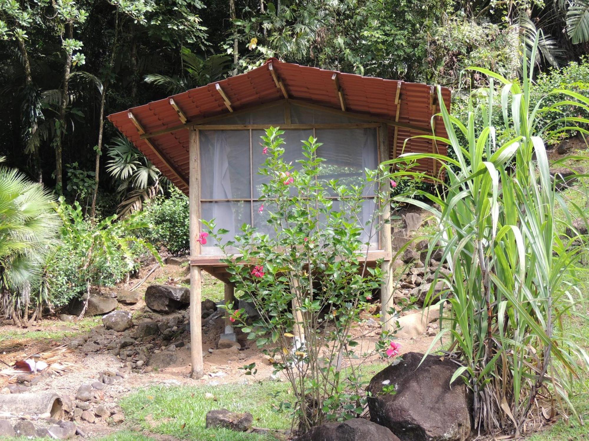 Pacuare River Lodge Bajo Tigre Bagian luar foto