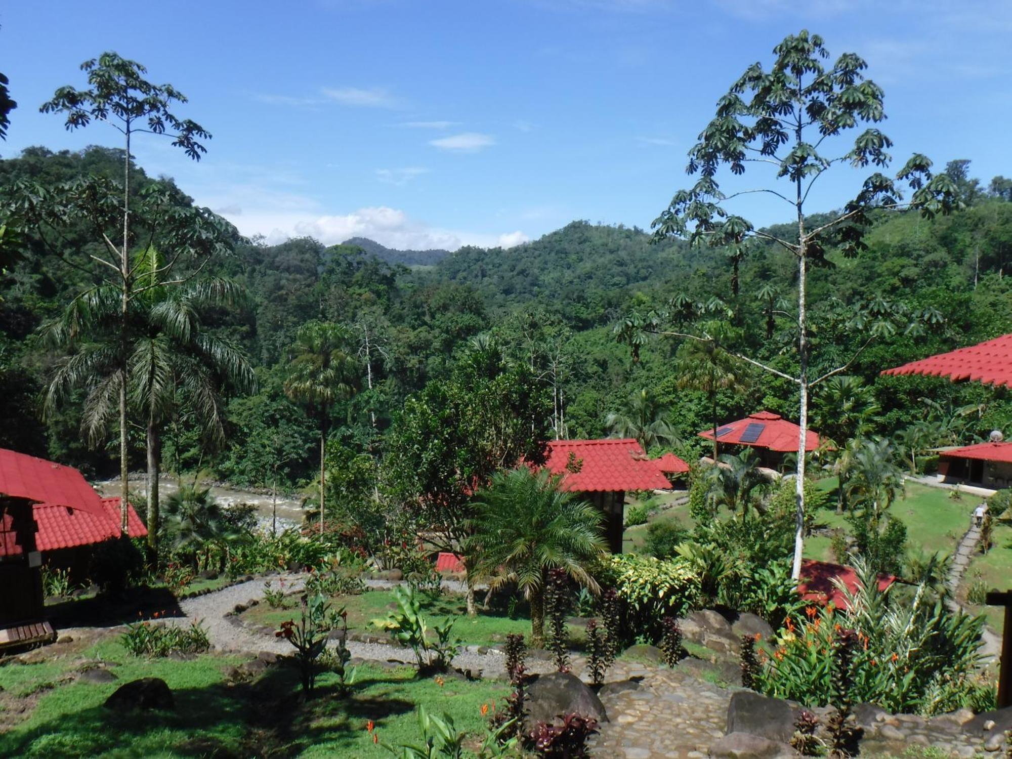 Pacuare River Lodge Bajo Tigre Bagian luar foto
