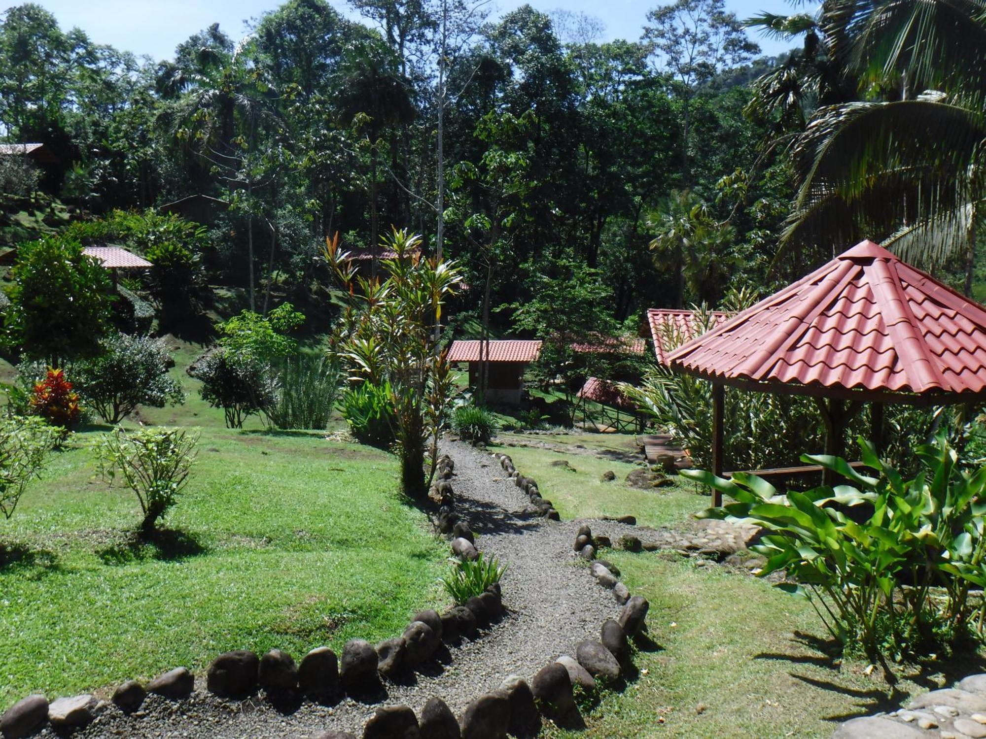 Pacuare River Lodge Bajo Tigre Bagian luar foto