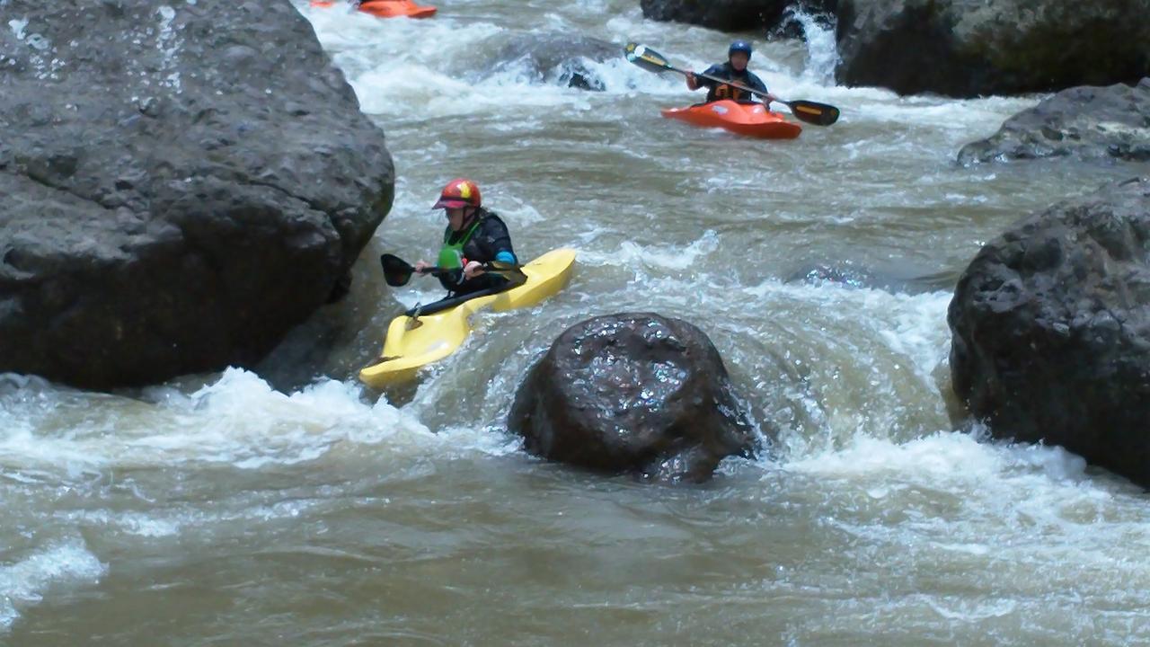 Pacuare River Lodge Bajo Tigre Bagian luar foto