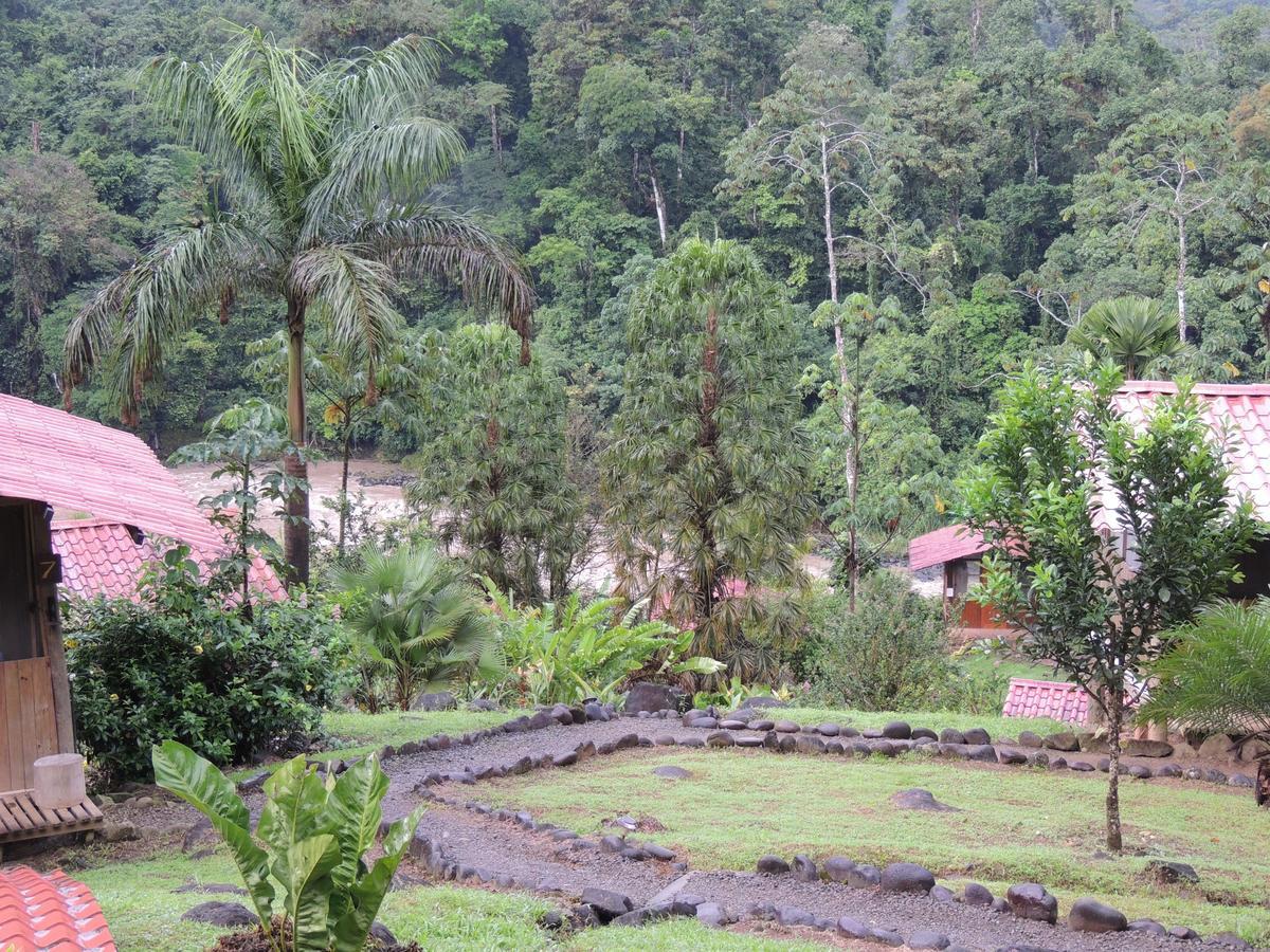 Pacuare River Lodge Bajo Tigre Bagian luar foto