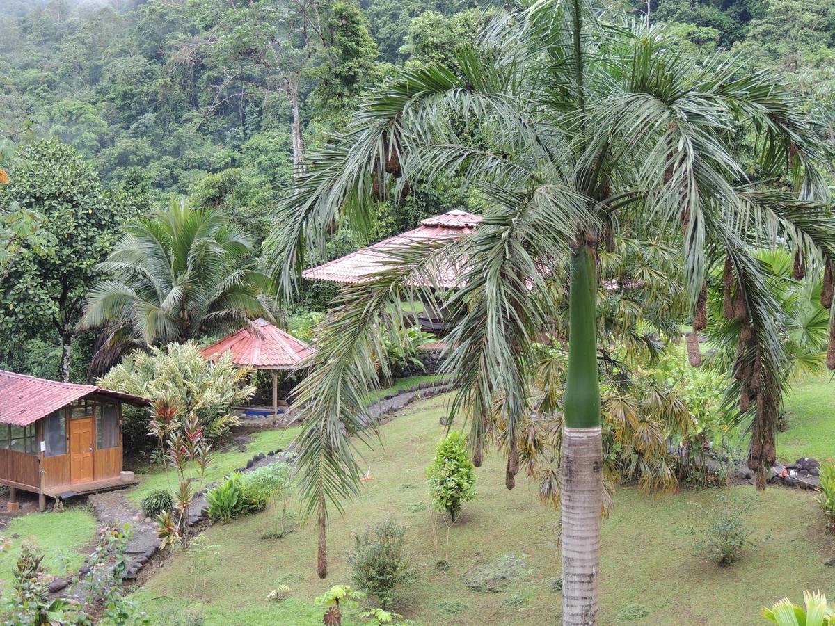 Pacuare River Lodge Bajo Tigre Bagian luar foto