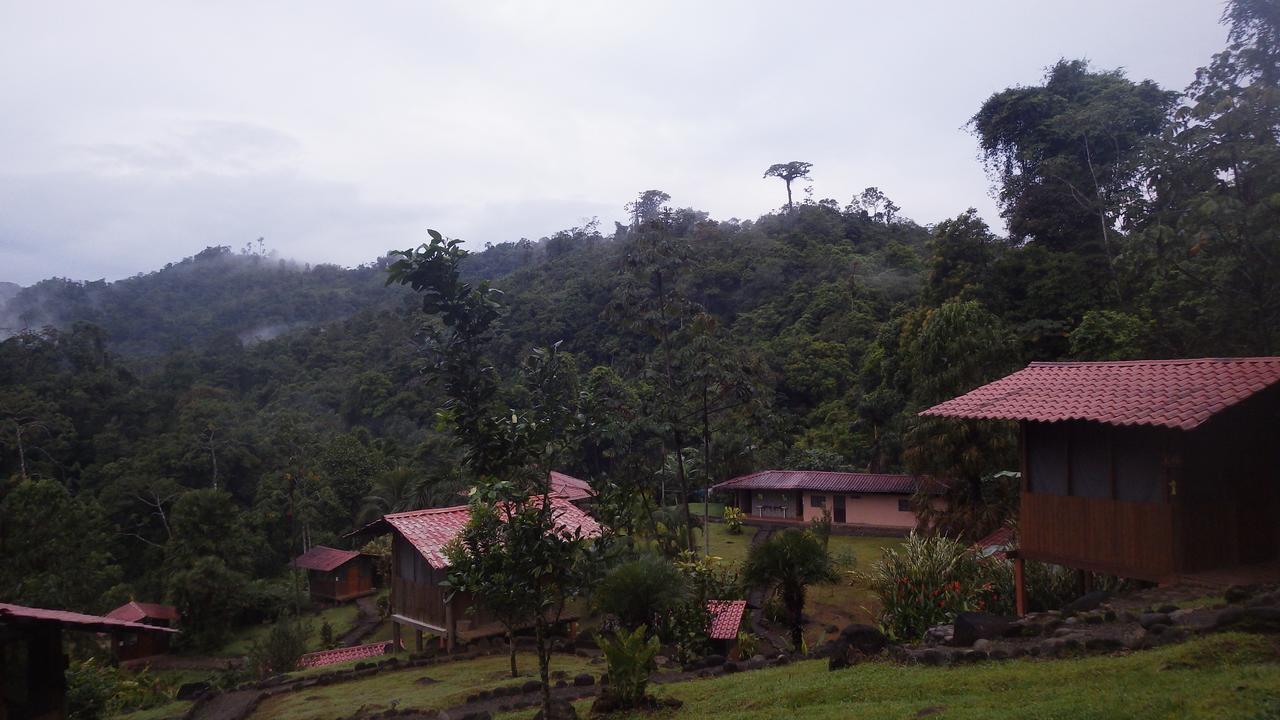 Pacuare River Lodge Bajo Tigre Bagian luar foto