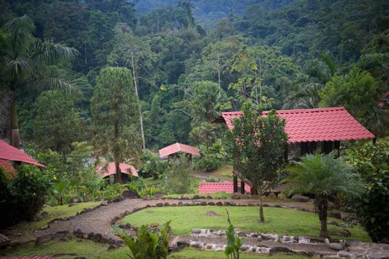 Pacuare River Lodge Bajo Tigre Bagian luar foto