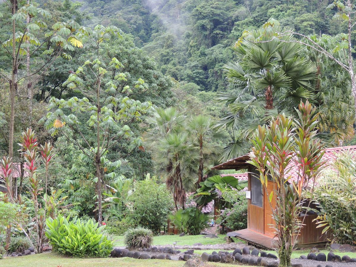 Pacuare River Lodge Bajo Tigre Bagian luar foto