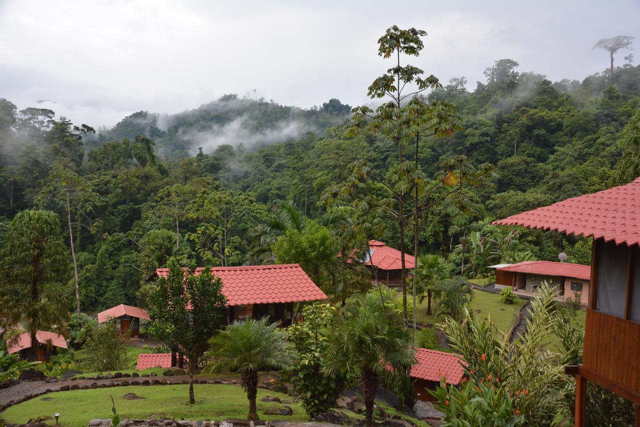 Pacuare River Lodge Bajo Tigre Bagian luar foto