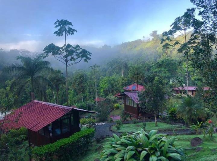 Pacuare River Lodge Bajo Tigre Bagian luar foto