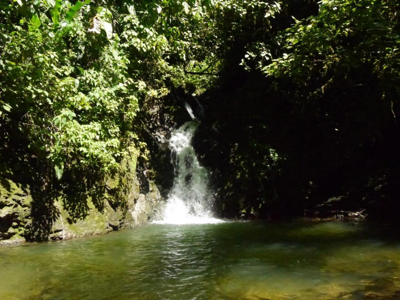 Pacuare River Lodge Bajo Tigre Bagian luar foto