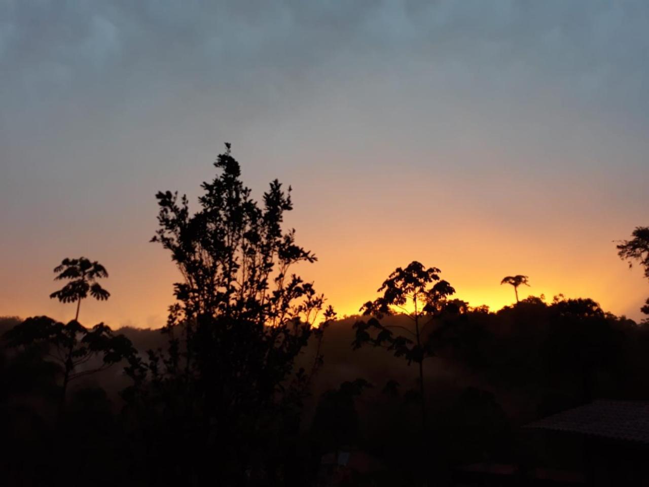 Pacuare River Lodge Bajo Tigre Bagian luar foto