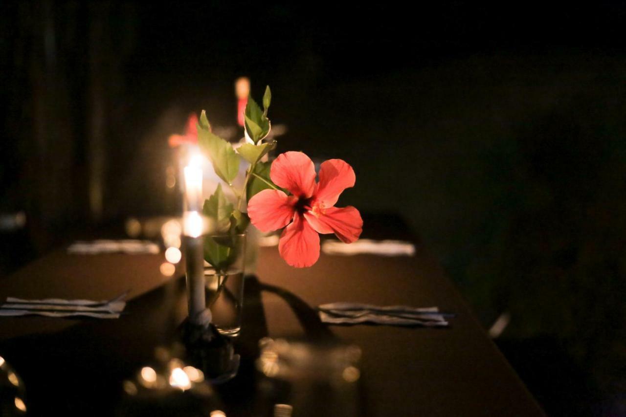 Pacuare River Lodge Bajo Tigre Bagian luar foto